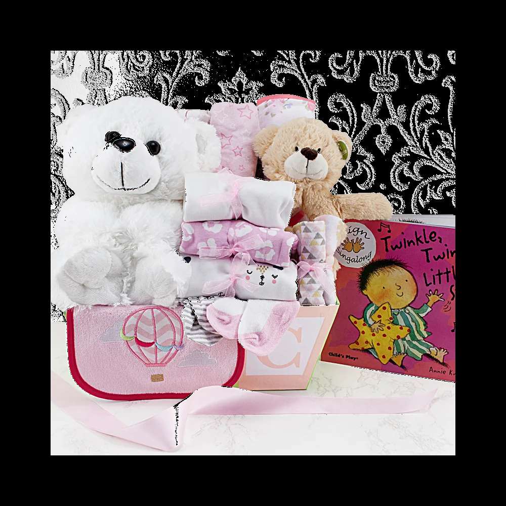Welcome Home Baby Girl Large Gift Basket