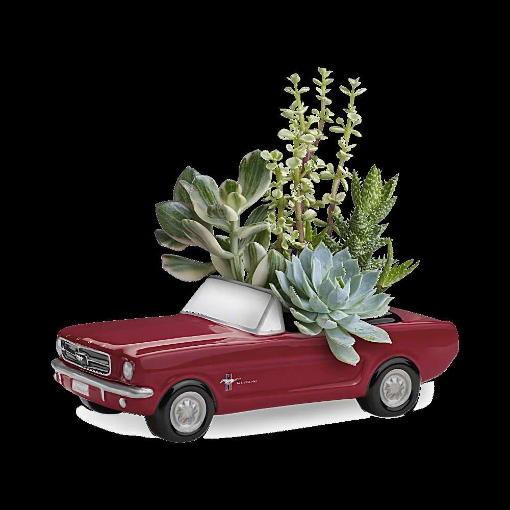 Dream Wheels '65 Ford Mustang by Teleflora