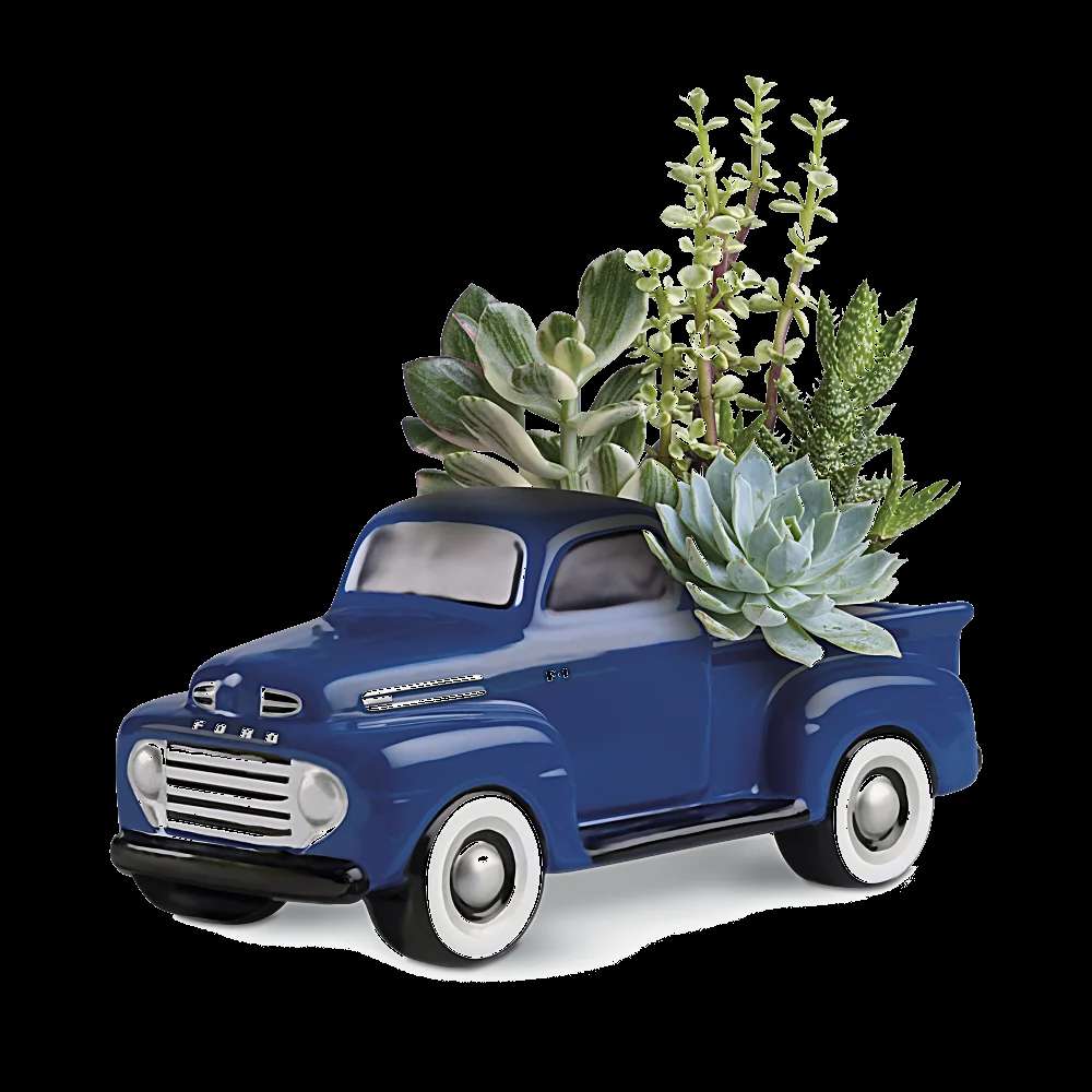 His Favorite Ford F1 Pickup by Teleflora