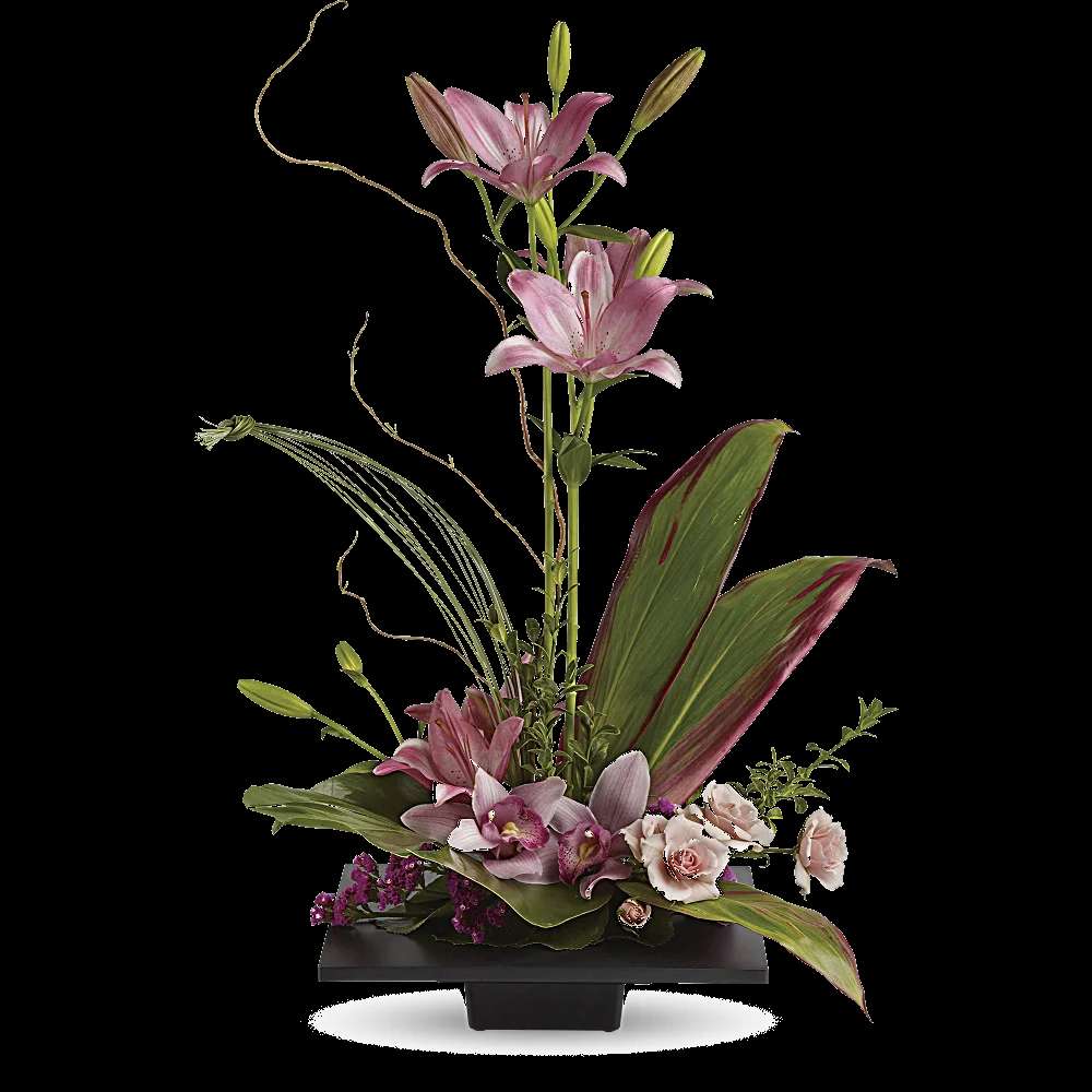 Imagination Blooms with Cymbidium Orchids