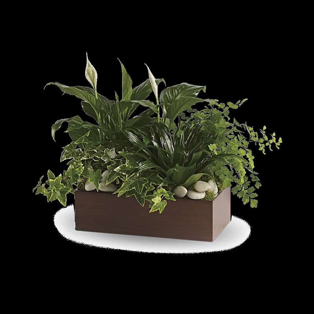 Teleflora's Quiet Expressions