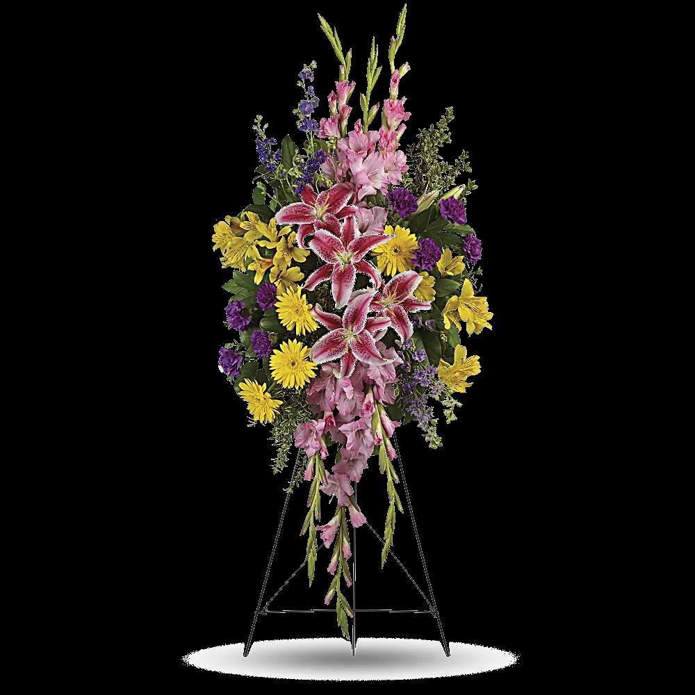 Rainbow Of Remembrance Spray