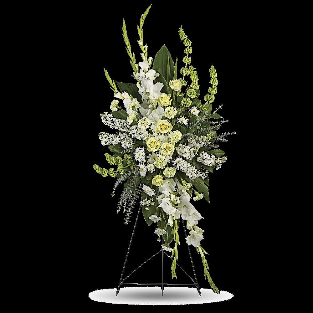 Magnificent Life Spray