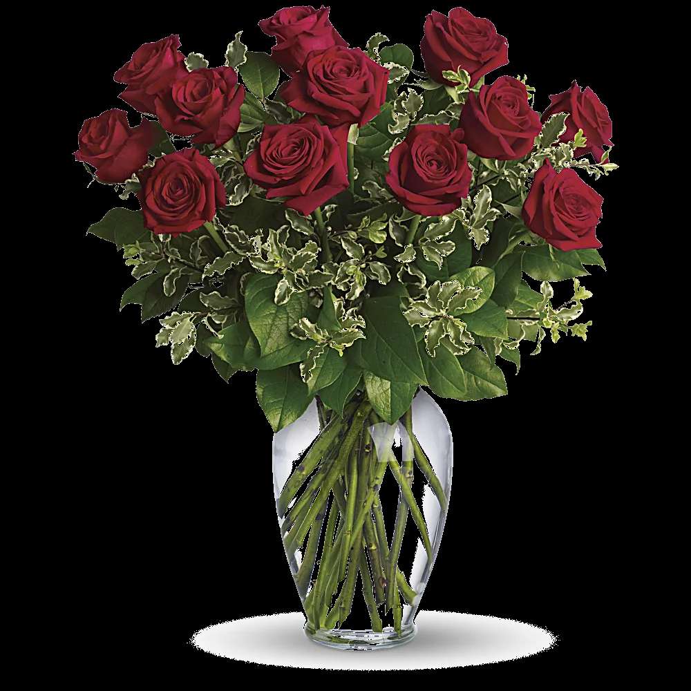 Always on My Mind - Long Stemmed Red Roses