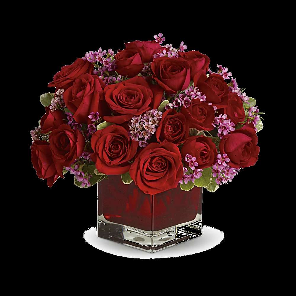 Never Let Go by Teleflora - 18 Red Roses