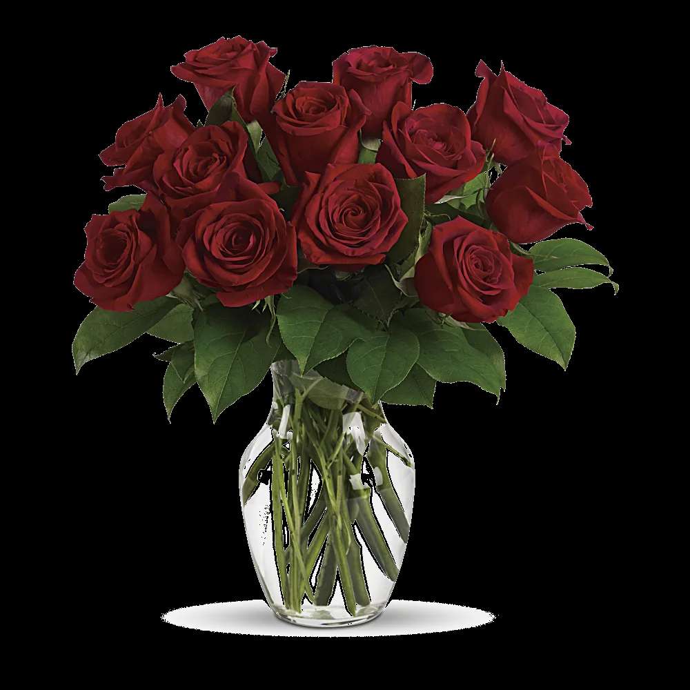 Enduring Passion - 12 Red Roses