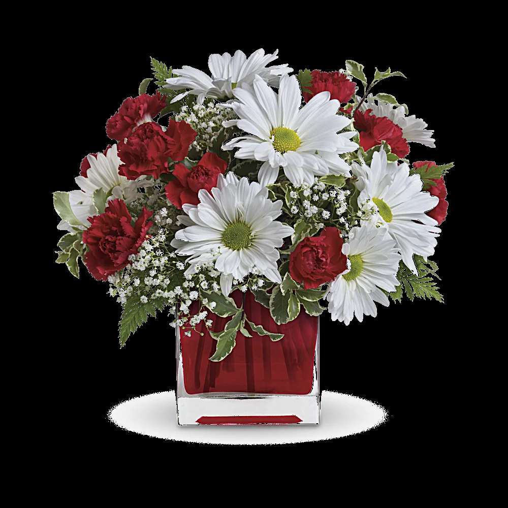 Red And White Delight by Teleflora