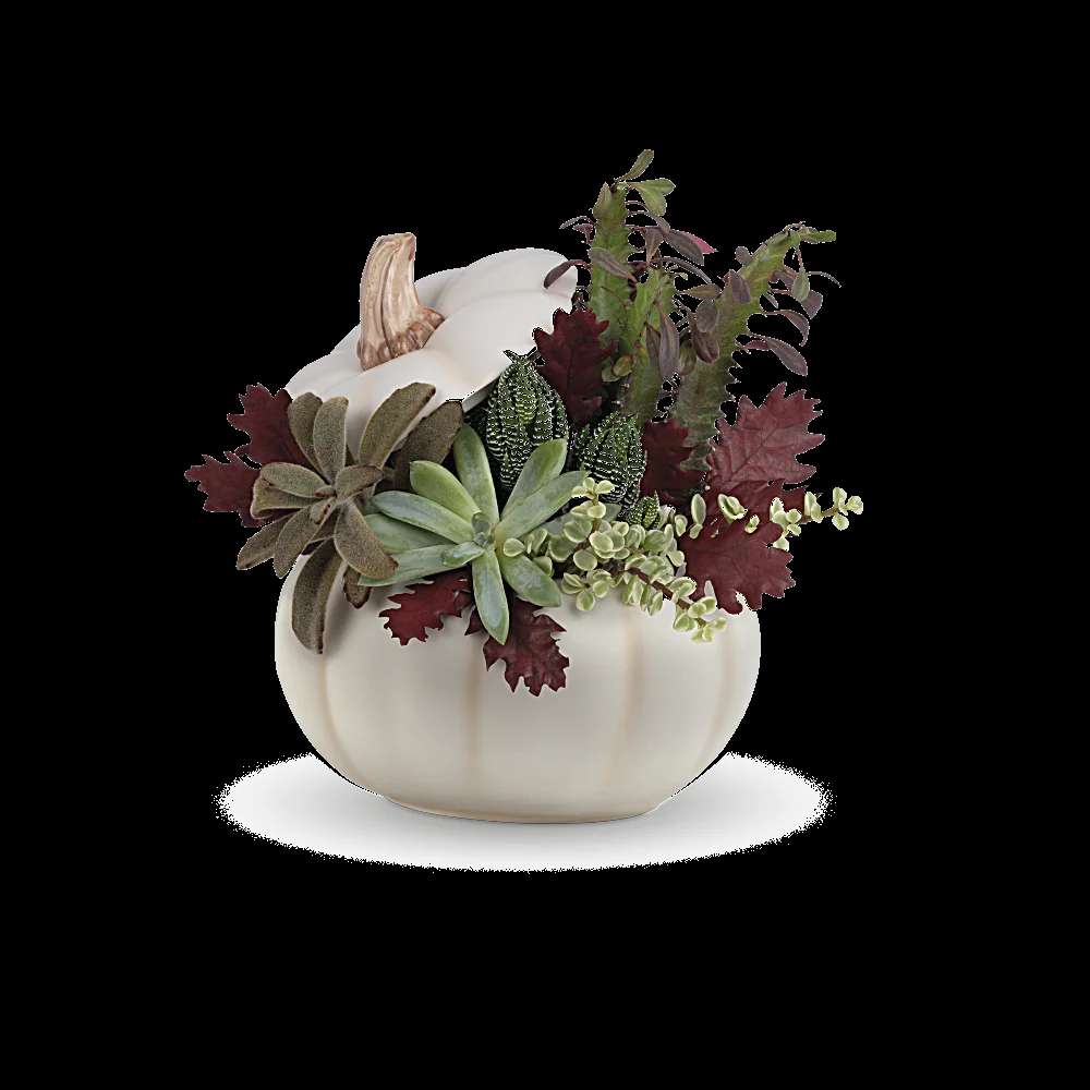 Teleflora's Spooky Succulent Garden