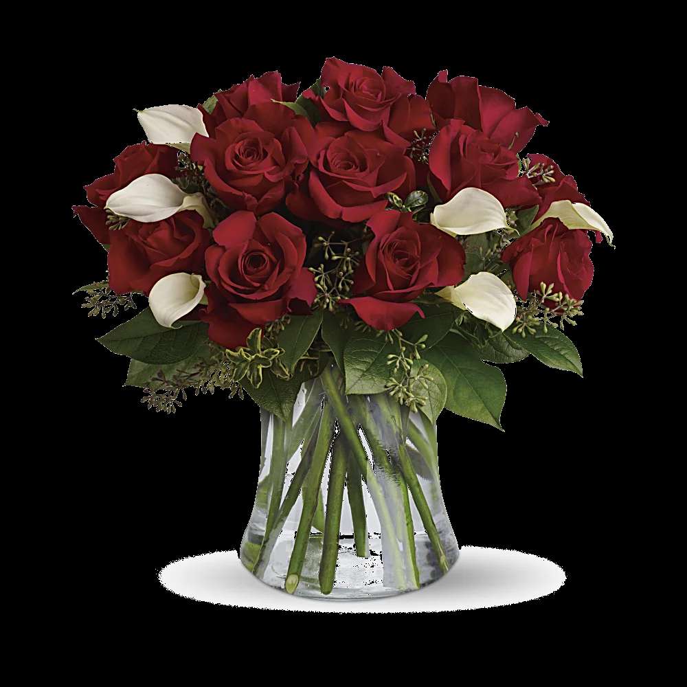 Be Still My Heart - Dozen Red Roses