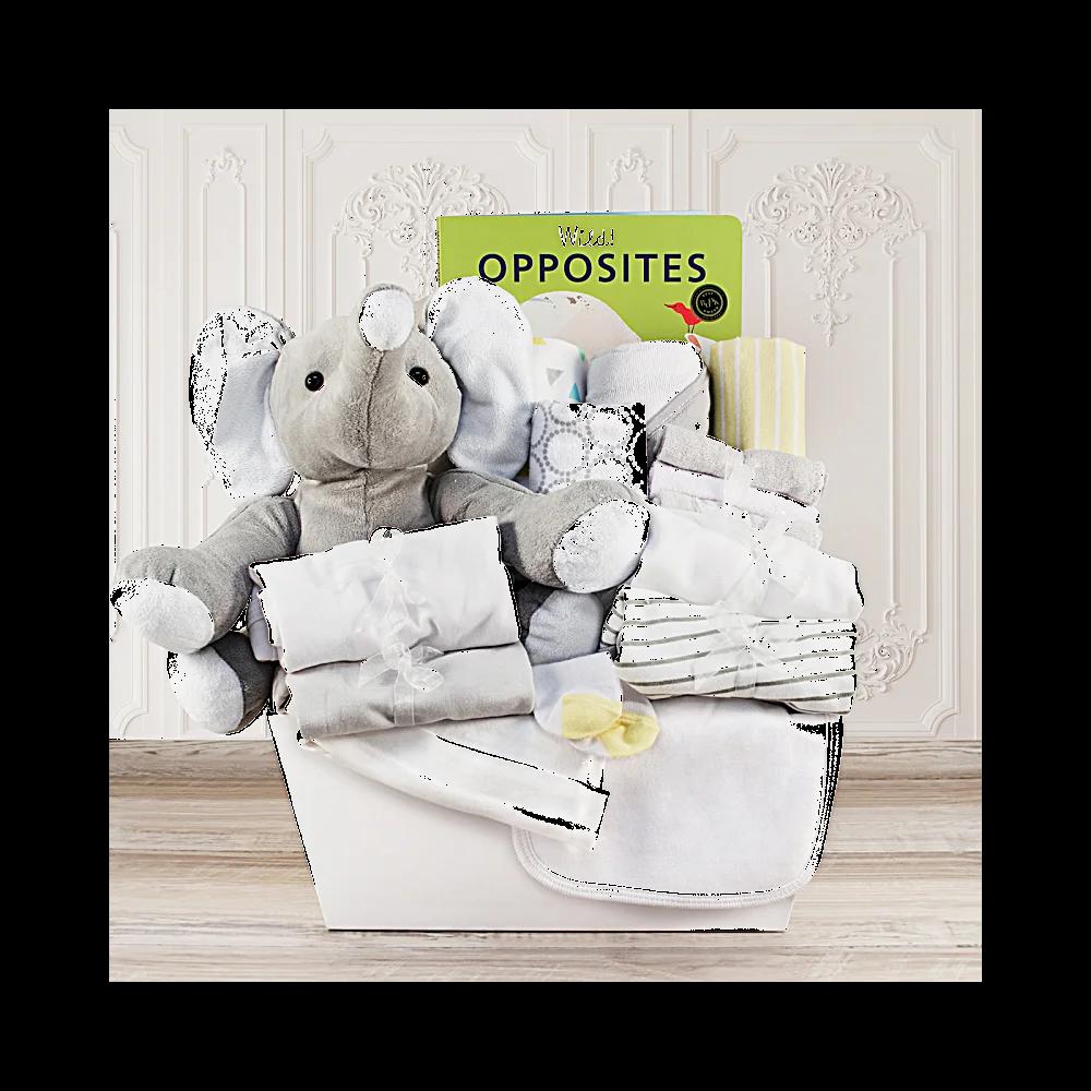 Welcome Home Baby Large Gift Basket