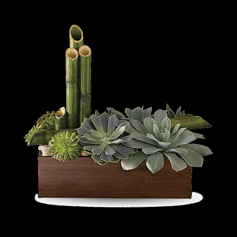 Teleflora's Peaceful Zen Garden