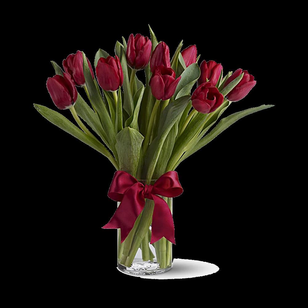 Radiantly Red Tulips