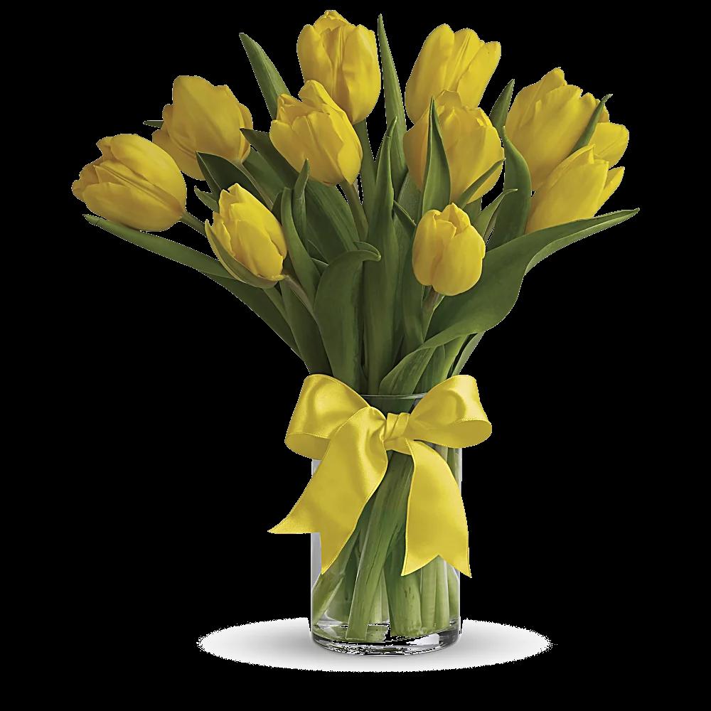 Sunny Yellow Tulips