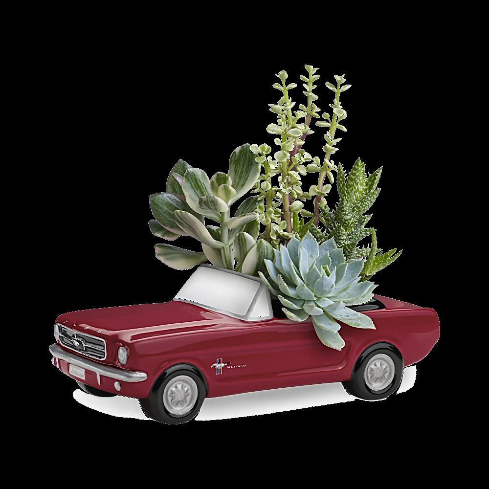 Dream Wheels '65 Ford Mustang by Teleflora