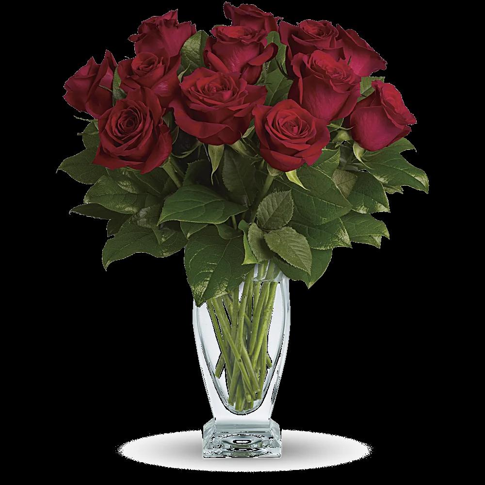 Teleflora's Rose Classique - Dozen Red Roses