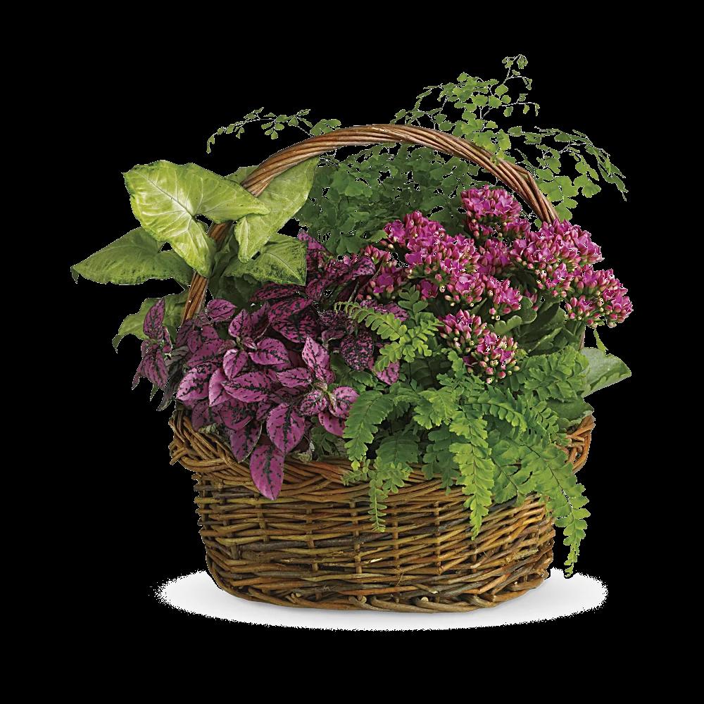 Secret Garden Basket