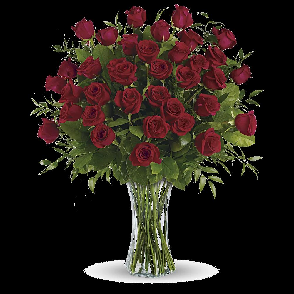 Breathtaking Beauty - 3 Dozen Long Stemmed Roses